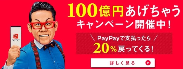 PayPay祭り、わたしの履歴と今後の活用考察