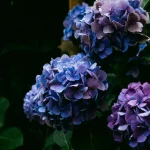 梅雨の季節を快適、健康に過ごす方法 ポイント3選