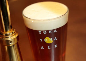 クラフトビールはここで飲め!東京のお店をご紹介